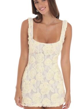 Lucy in the Sky Pale Cream Floral Lace Mini Dress
